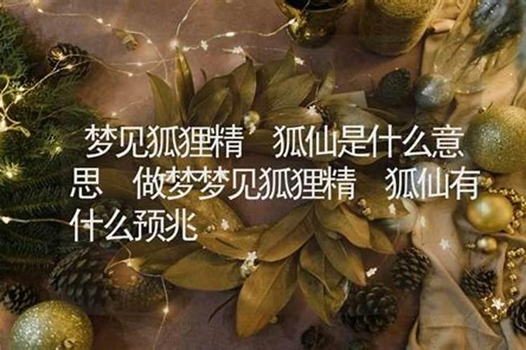 梦见狐狸精怎么回事