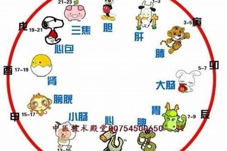 重阳节哪个时辰出生好