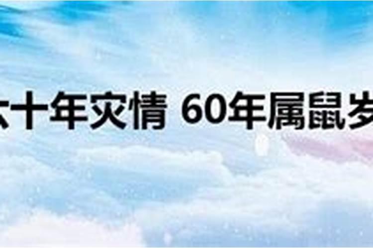 60属鼠人的灾难年龄35