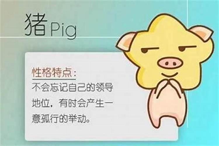 属猪的什么职业好找工作