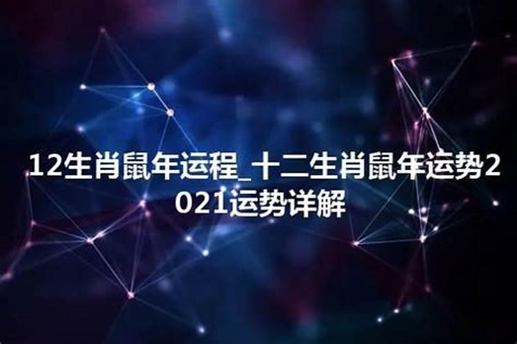 属羊人鼠年运势2021运势详解