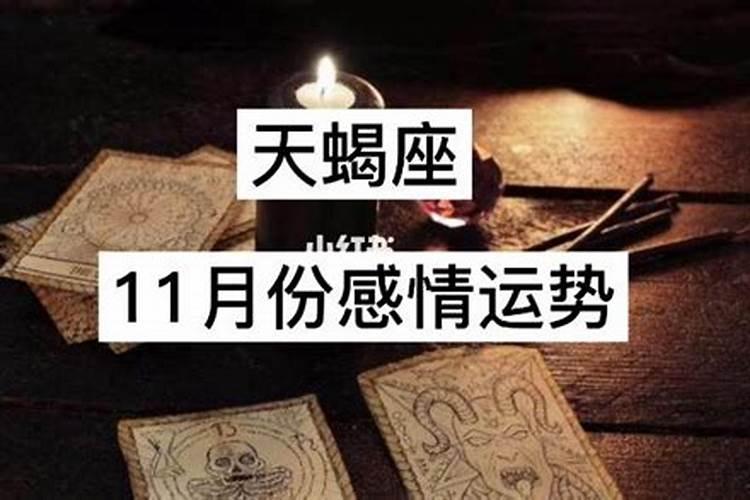 81年女今年的感情运势