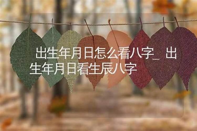 看出生年月日时如何批八字