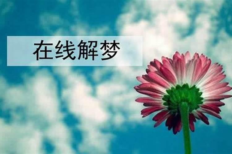 梦见儿子头发染黄了