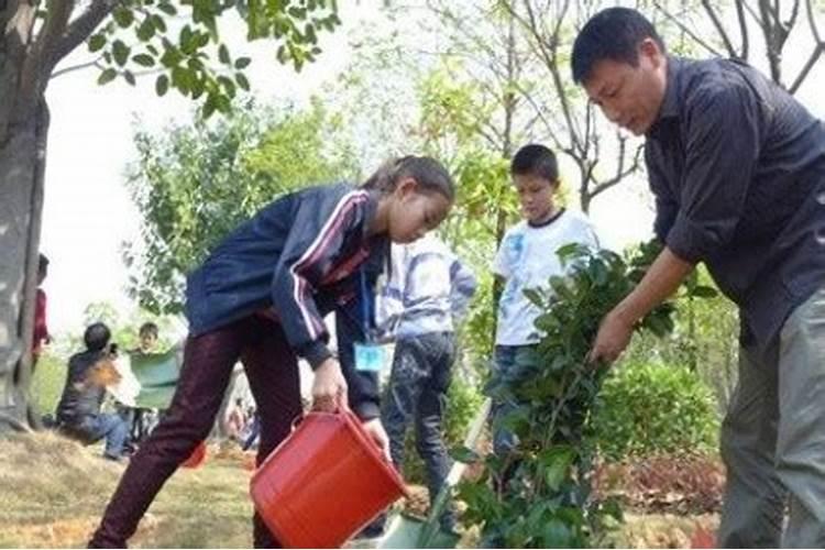 梦到死人种树什么意思