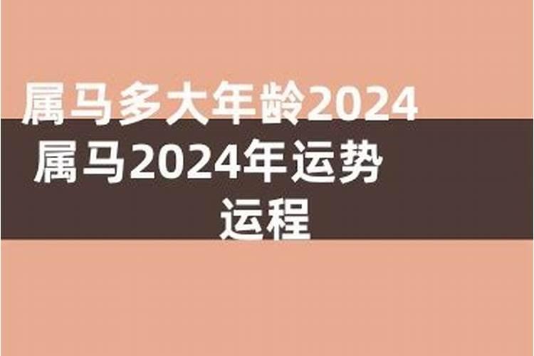 2037年属马的多大