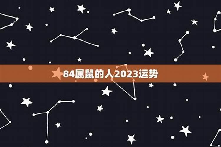 属鼠2023年整体运势男