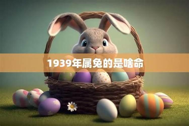 1939年属兔人的终身寿命
