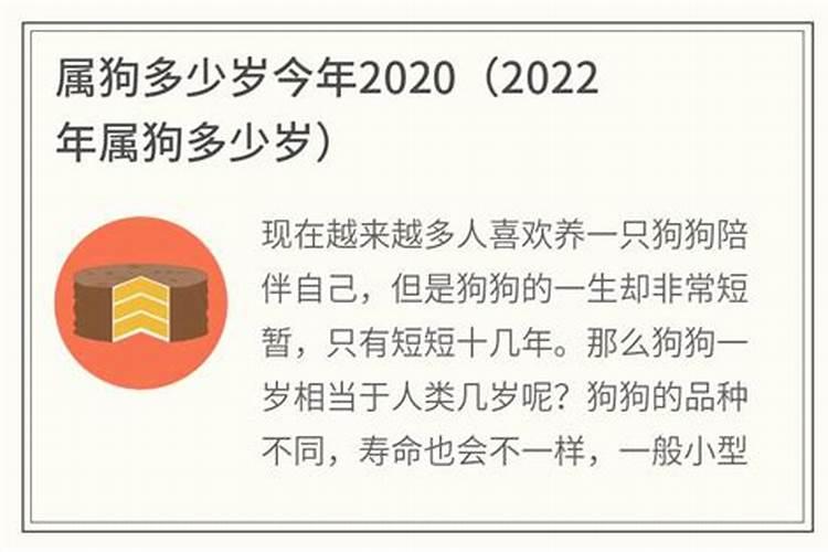 属狗多少岁今年2022