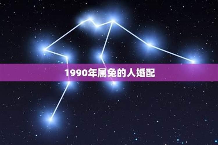 90年属马和属兔相配吗