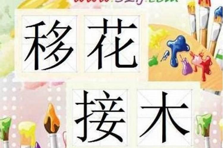 什么八字适合离祖