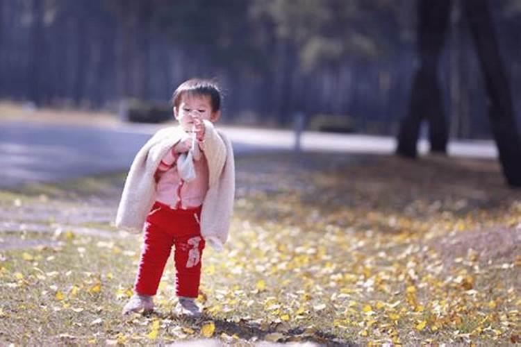 鸡狗婚配生什么属相的宝宝