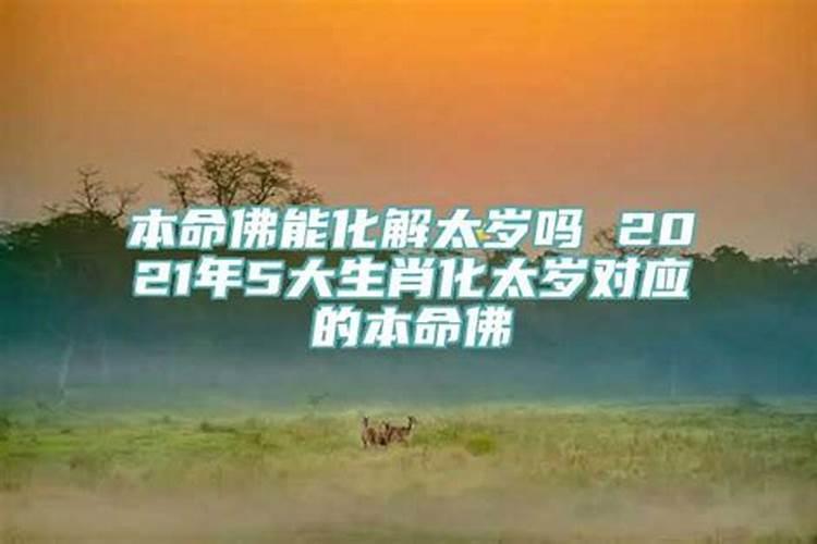 2023年立春什么属相犯太岁