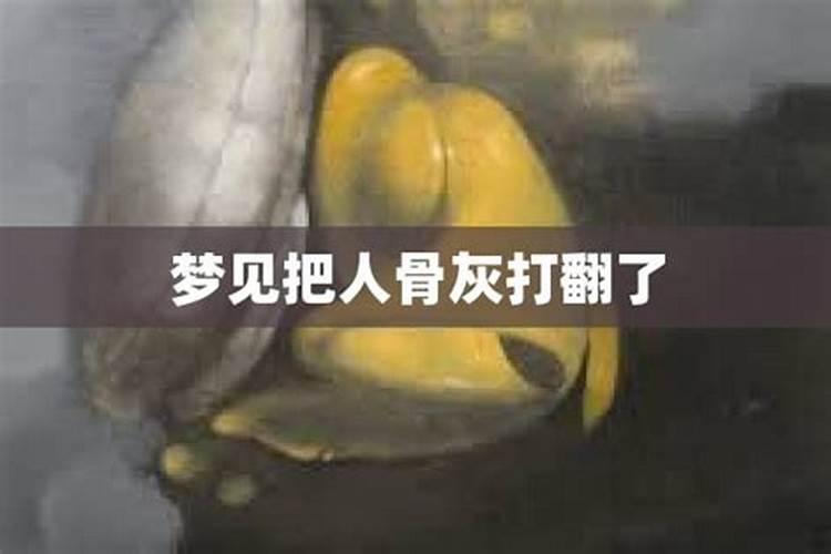 梦见把骨灰盒带回家