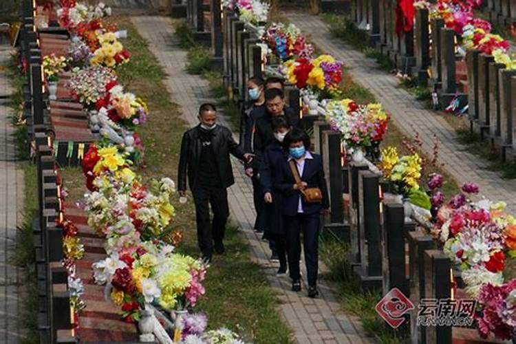 清明祭扫日报内容