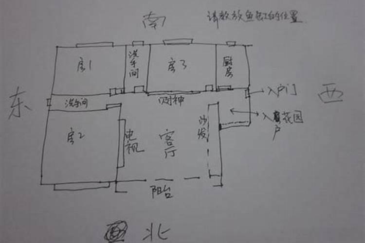 想要店铺风水旺摆什么