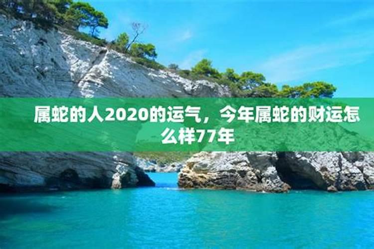 今年蛇运气怎么样在2020