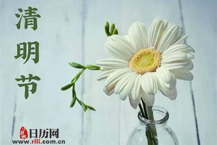 清明节最忌讳送几朵花吗