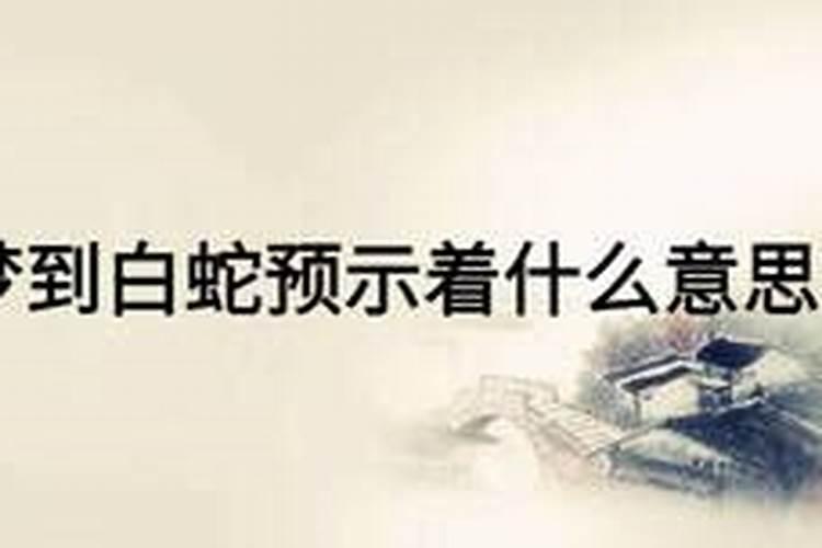 怀孕做梦梦到白蛇是什么意思周公解梦