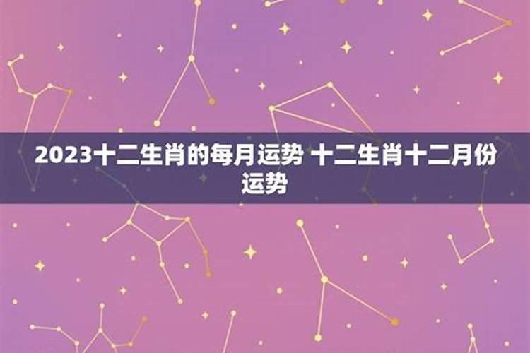 12月份12生肖运势