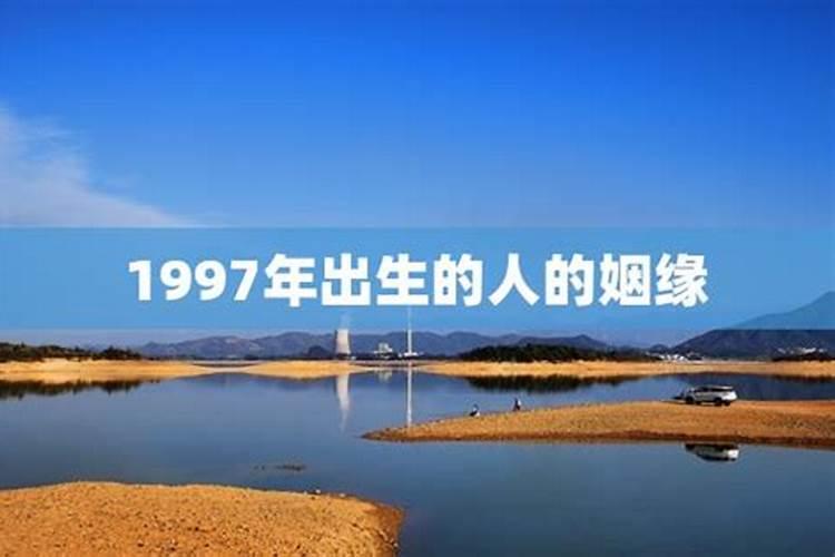 1997年女属牛的最佳配偶属相