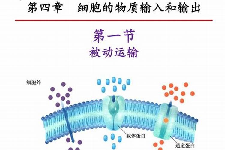 转运的方式