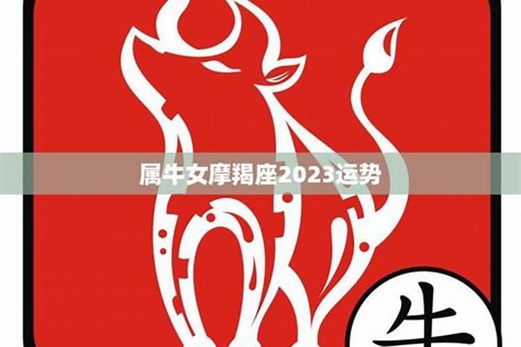 魔蝎女属牛2023年运势怎么样