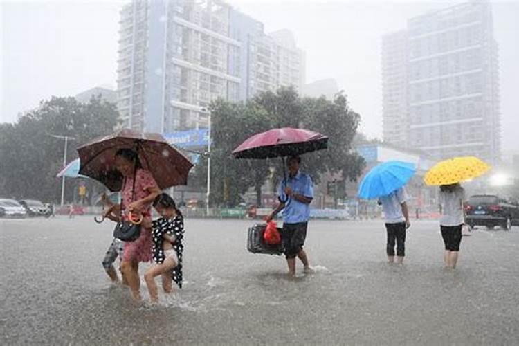 梦见一家人出行遇上大雨