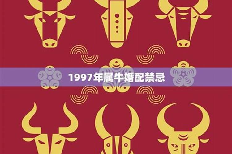 1997年属牛婚配忌哪个方