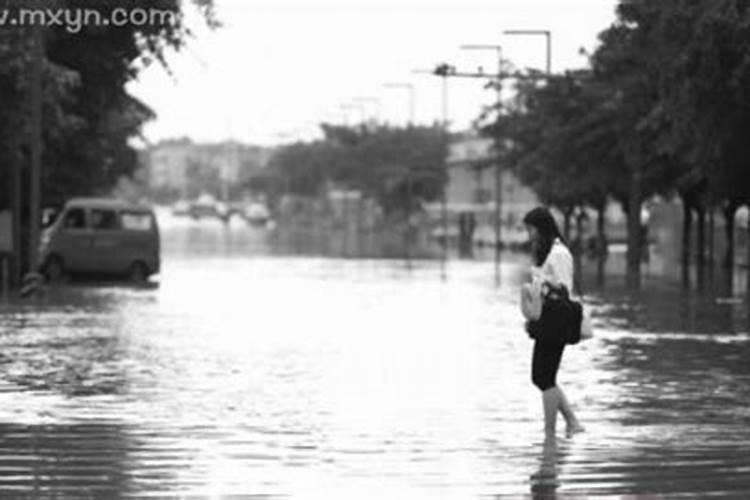 梦到下完雨路上都是水