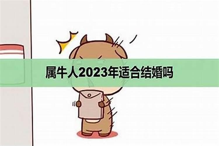 2023牛本命年能结婚么