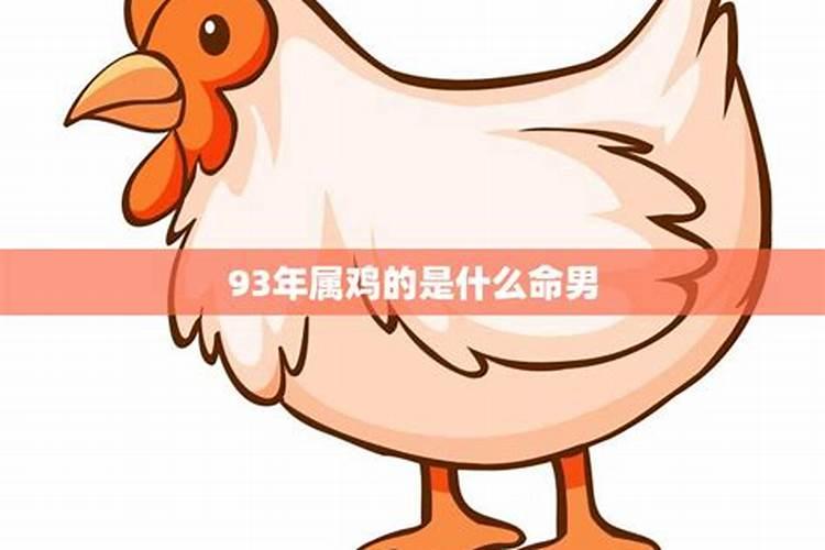 93年鸡男21年运势