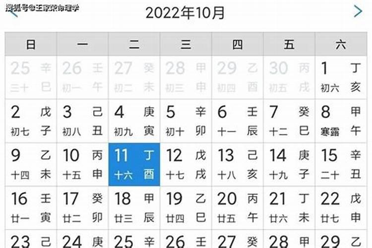 11月3日生肖运势