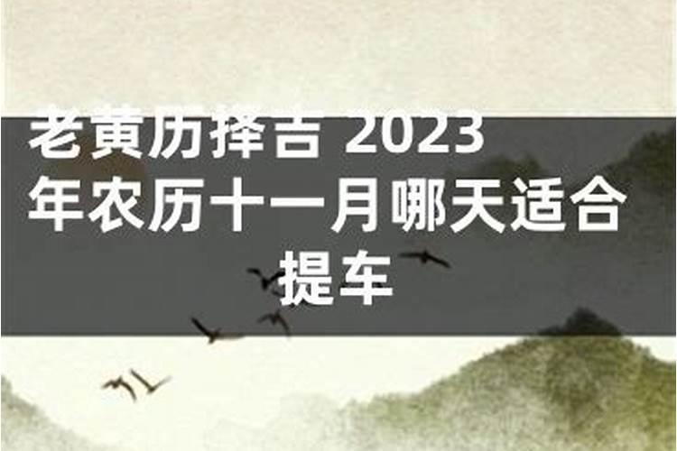 属蛇6月份提车哪一天时间最好