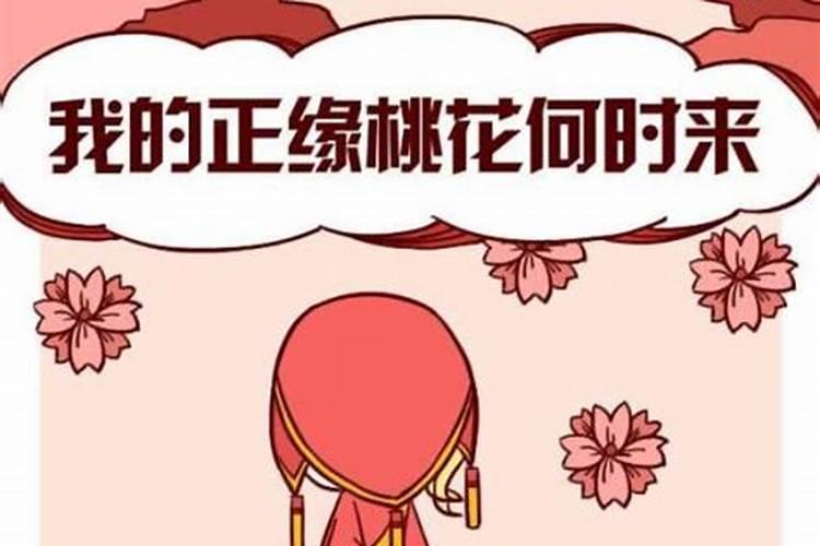 八字算正缘桃花