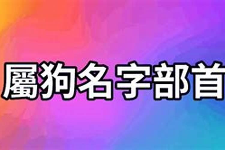 属狗的名字禁忌带的偏旁