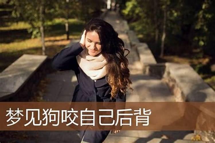 梦见狗咬自己的后背是什么意思啊女生