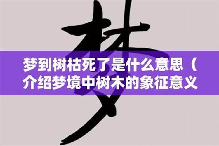 梦见树死了是什么意思