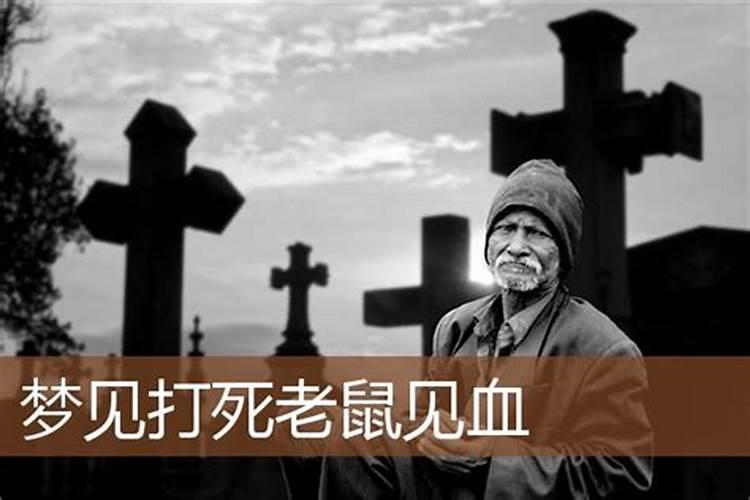 做梦梦见打死老鼠有血