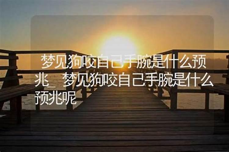 梦到狗满身是血什么预兆呢