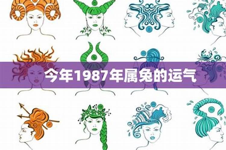 1987年今年运气怎么样