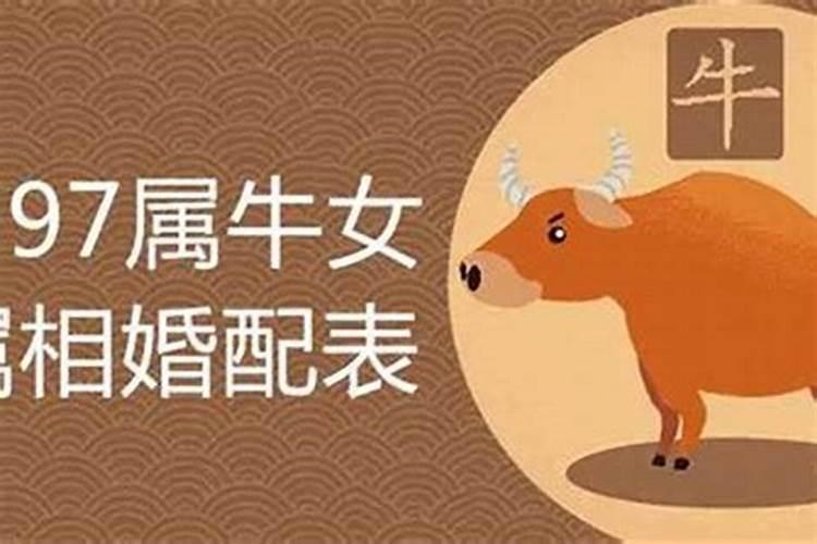 属牛与什么最配,什么相克