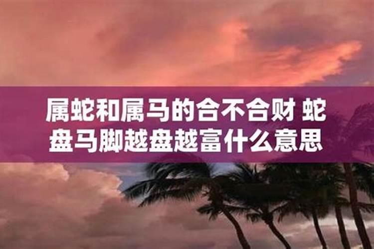 属蛇的跟属马的合不合