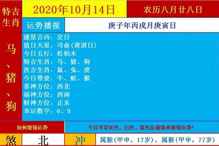 八字运势2021年运势免费