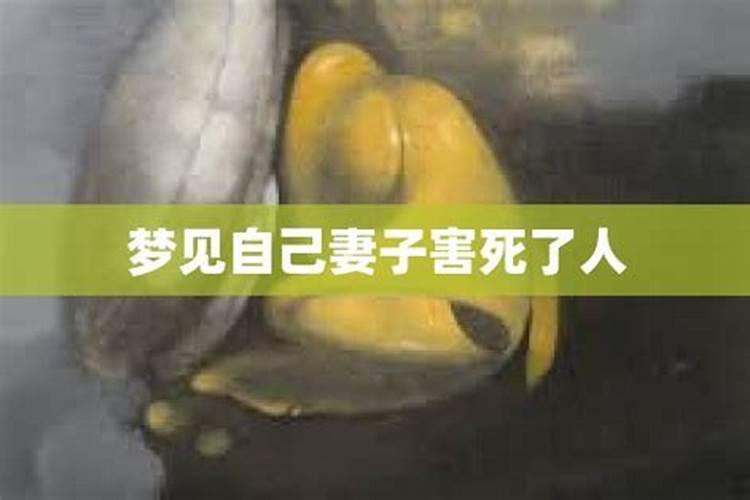 梦到前妻害自己