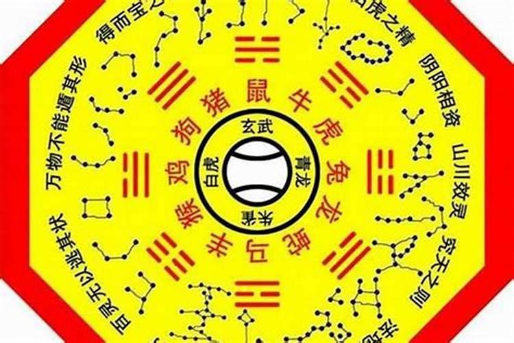 八字里的夫星是啥意思