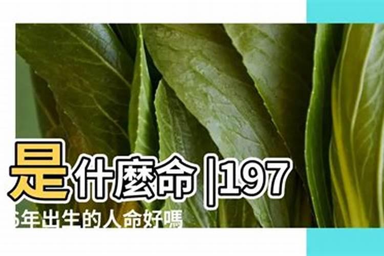 1976年正月初二几号