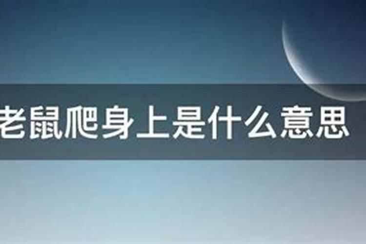 梦到老鼠扑我身上什么意思