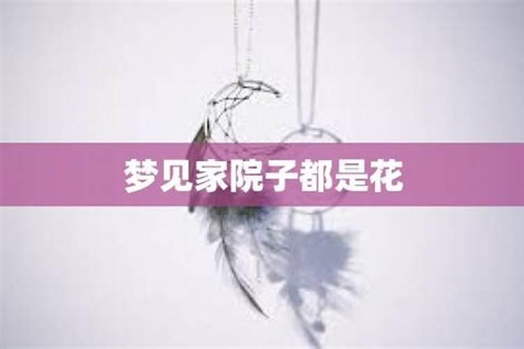 梦见家门口鲜花盛开周公解梦