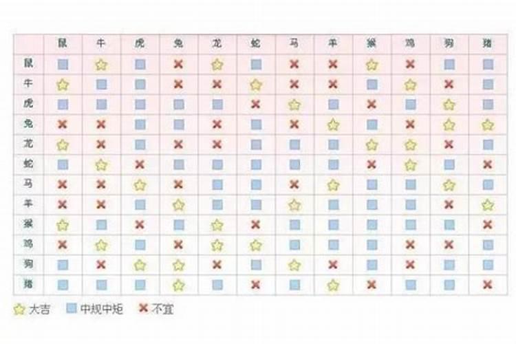 生肖配对指数查询网站